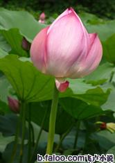 奥博体育:产品1